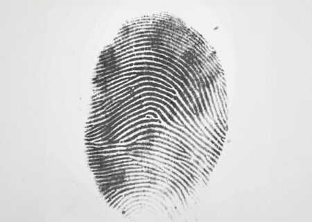 انتشار ریمیکس مدرن «والس هرمان» با تنظیم کولی بند و DJ Tricks