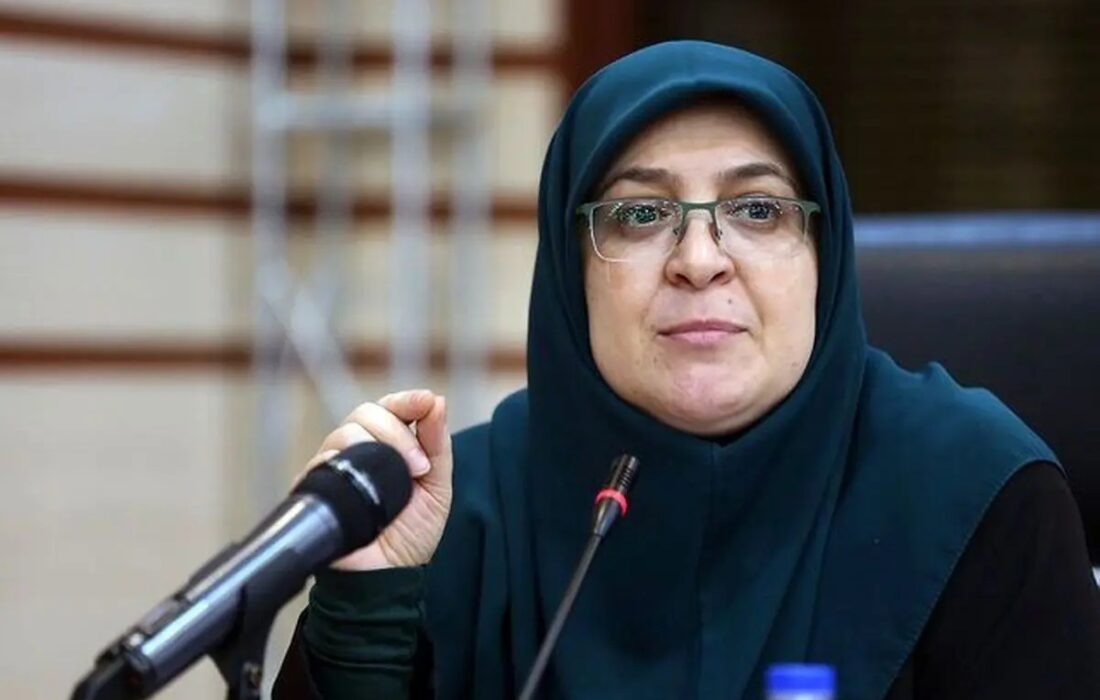 توضیح سخنگوی دولت درباره برگزاری کنسرت خیابانی همایون شجریان