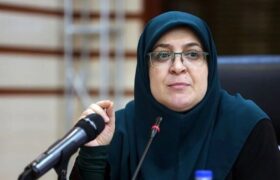 توضیح سخنگوی دولت درباره برگزاری کنسرت خیابانی همایون شجریان
