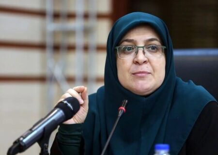 توضیح سخنگوی دولت درباره برگزاری کنسرت خیابانی همایون شجریان