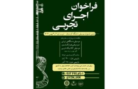 فراخوان اجرای تجربی دومین فستیوال موسیقی دانشگاه کردستان