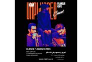 اجرای آنپلاگد «Duende Flamenco Trio» در کافه فِلانور تهران