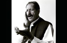 نادر نیکنژاد: مقام کردی روایت دوری، جدایی و گلایههای ناگفته است