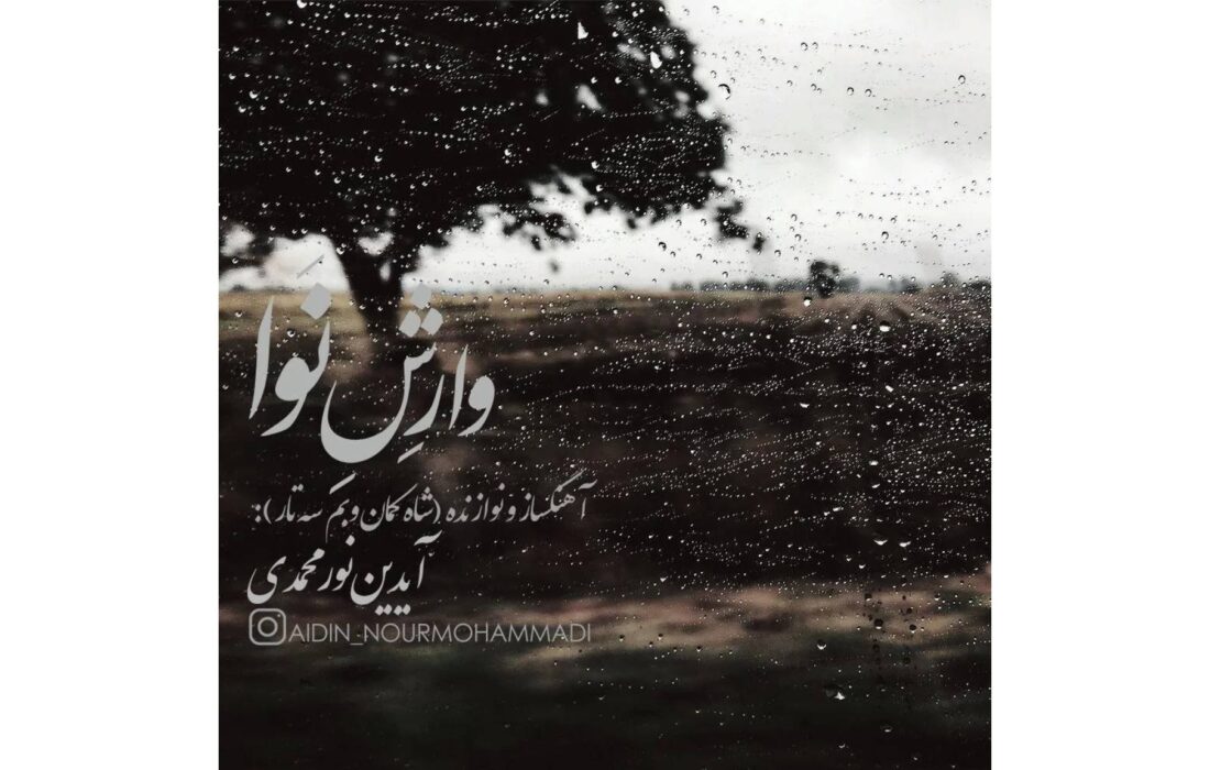 ‏نغمه باران در تار و پود کمانچه؛ «وارش نوا» اثر جدید آیدین نورمحمدی منتشر شد