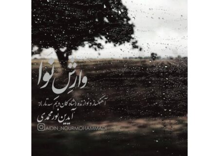 ‏نغمه باران در تار و پود کمانچه؛ «وارش نوا» اثر جدید آیدین نورمحمدی منتشر شد