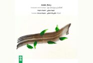هم‌نوایی عود و تمبک در «رسم»؛ اثر مشترک نجمه و علیرضا صغیر
